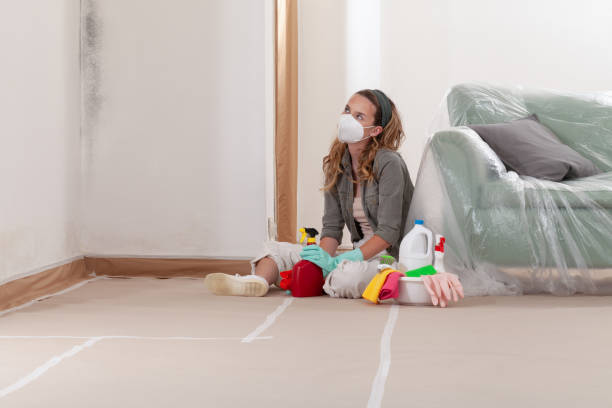 Reliable Mold Inspection contractor in Boyne Falls, MI by WQB Mold Removal